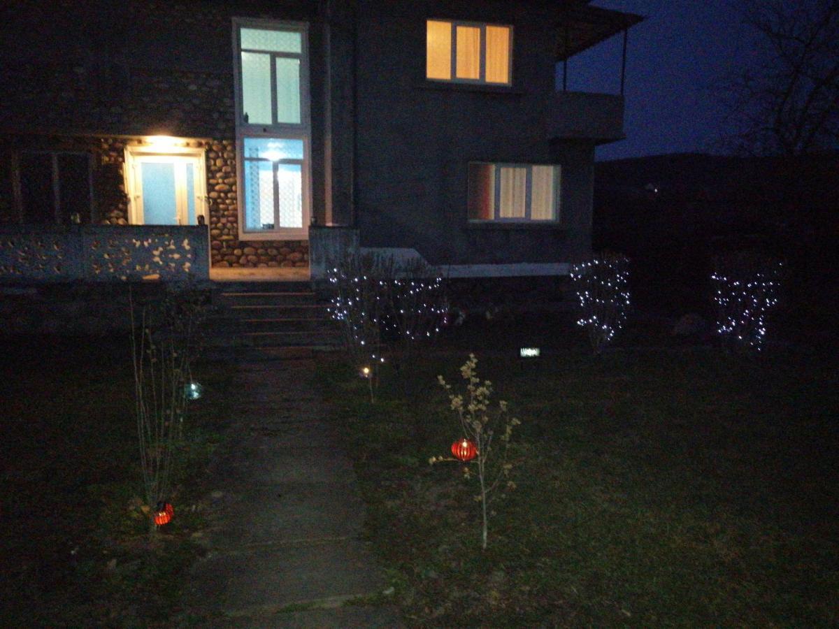 Vila La Izvorul Putinei Hateg Bagian luar foto