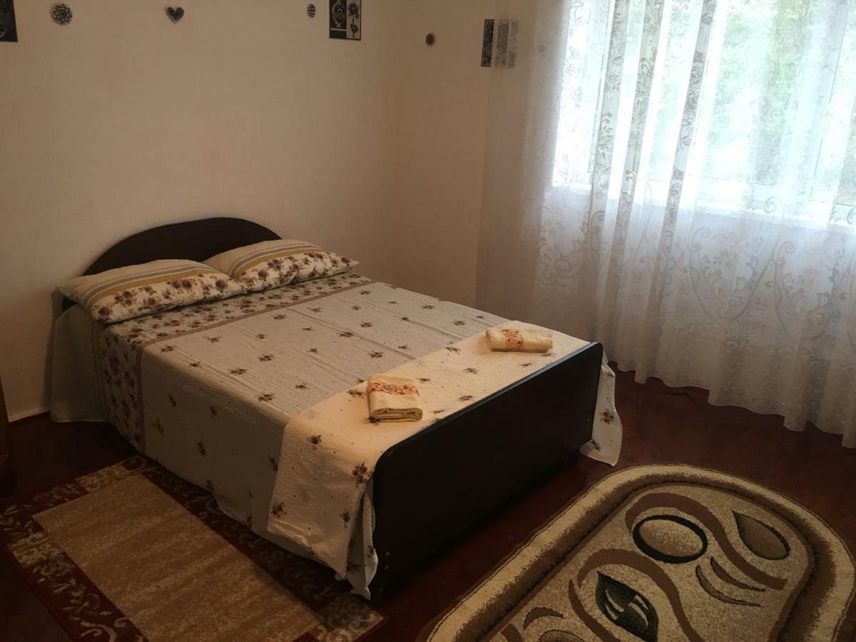 Vila La Izvorul Putinei Hateg Bagian luar foto