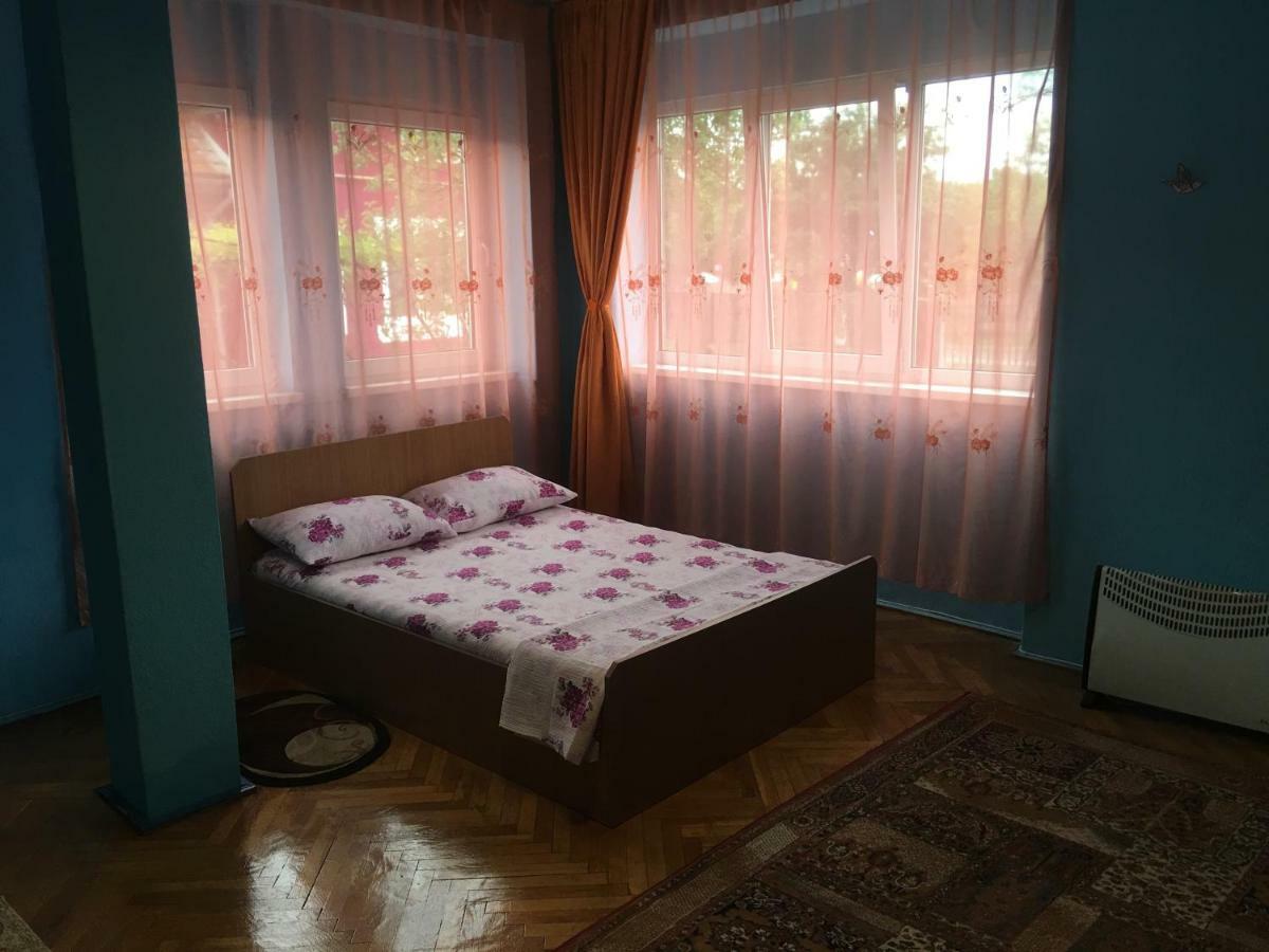 Vila La Izvorul Putinei Hateg Bagian luar foto